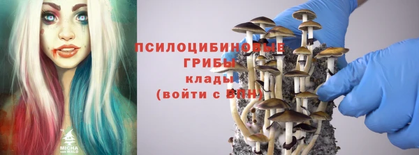 mdpv Липки