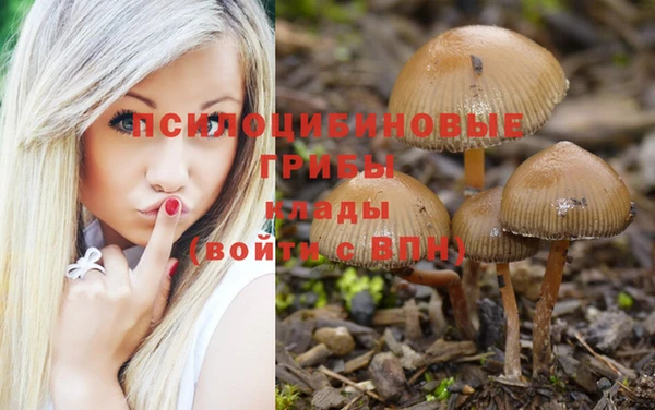 винт Лихославль